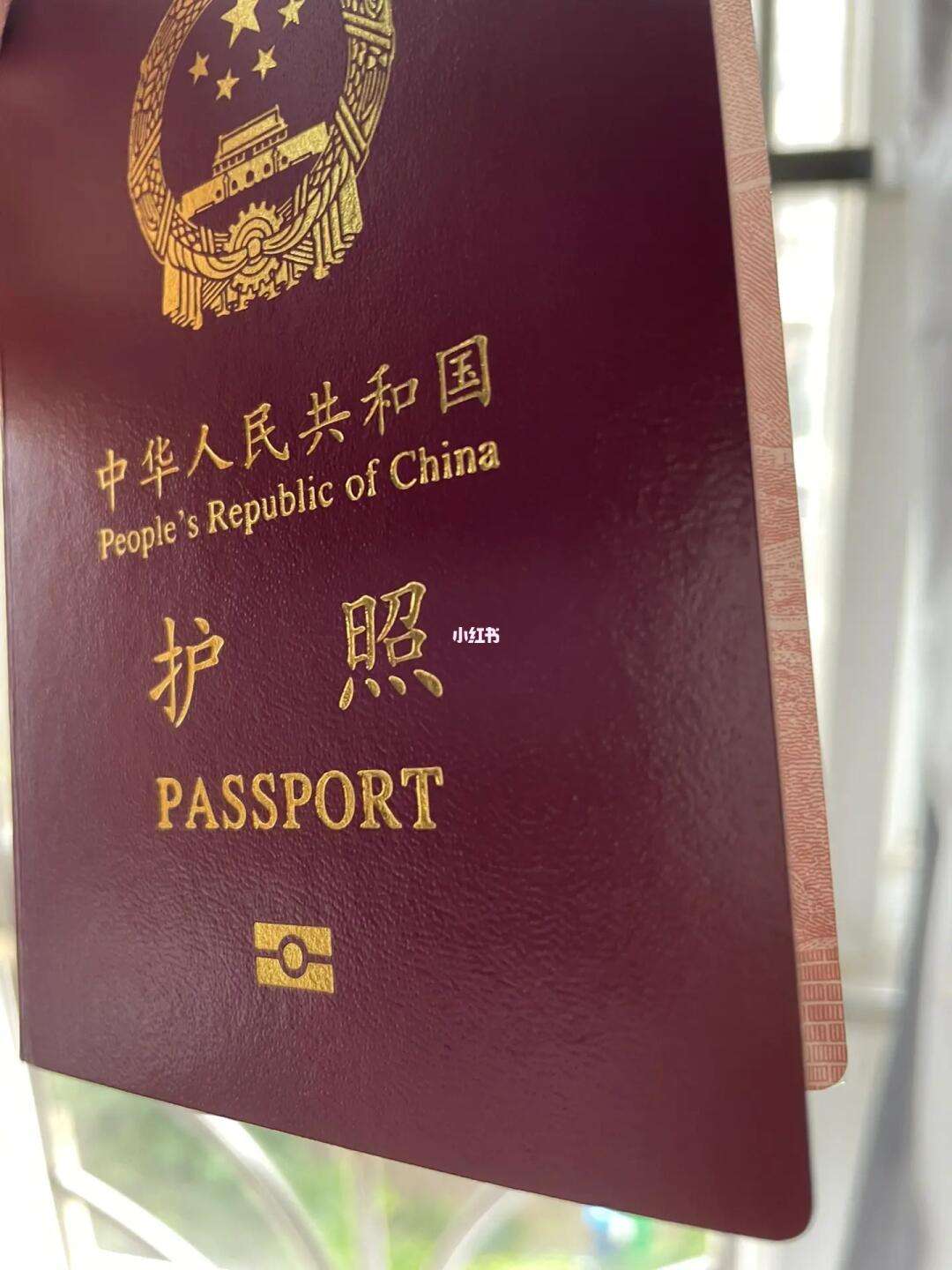 护照在线生成器手机版(在线国际各国护照生成器)