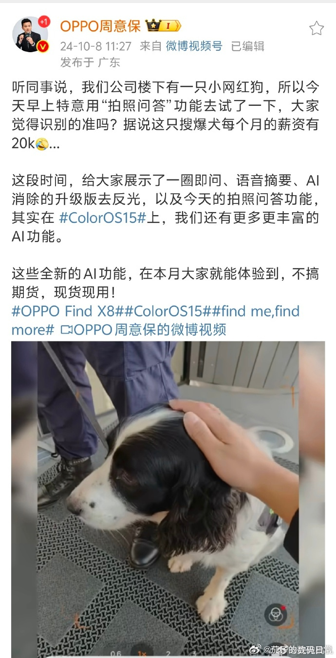 狗狗语言软件苹果版能让狗狗听懂人话的软件-第1张图片-太平洋在线下载