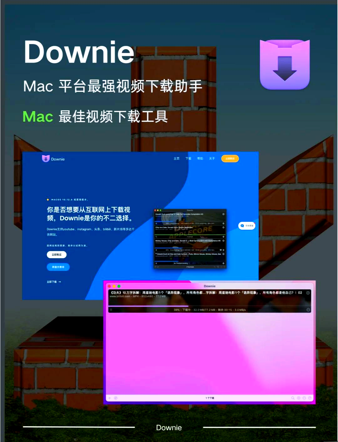 idm下载器手机版idm下载的视频无法播放-第1张图片-太平洋在线下载