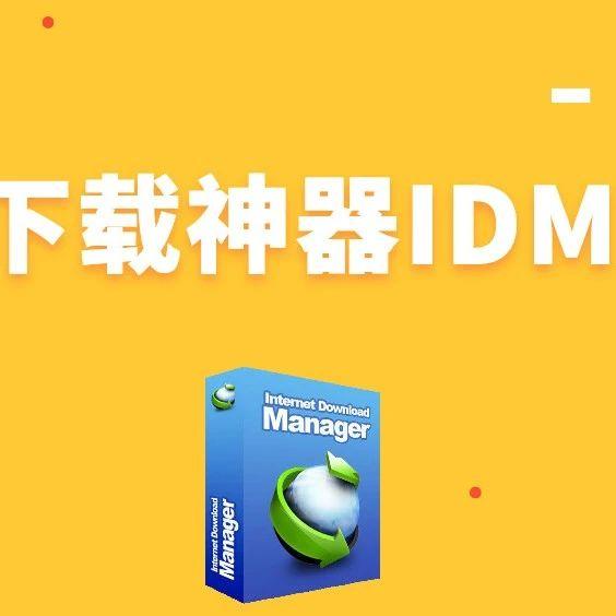 idm下载器手机版idm下载的视频无法播放-第2张图片-太平洋在线下载
